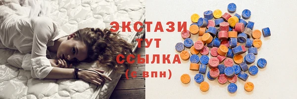 крисы Горняк