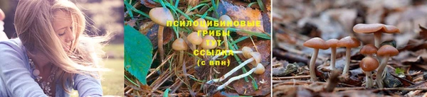 мефедрон VHQ Горно-Алтайск