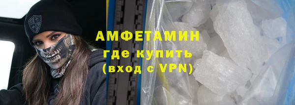 крисы Горняк