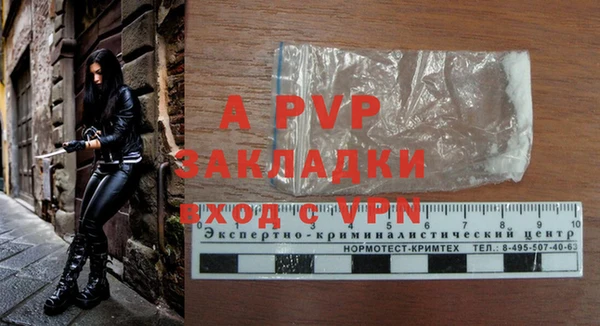 крисы Горняк