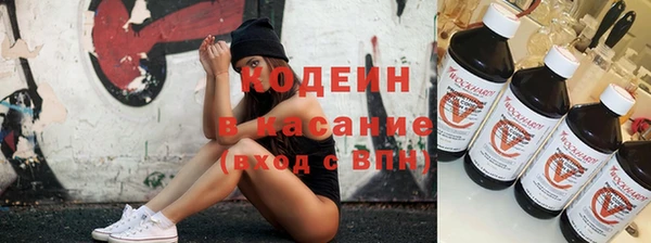 крисы Горняк