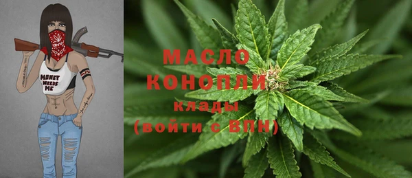 крисы Горняк