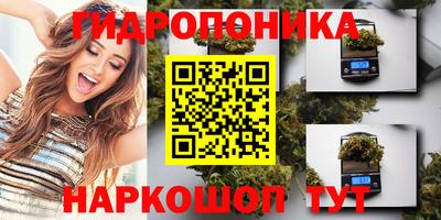 прущий лед Будённовск