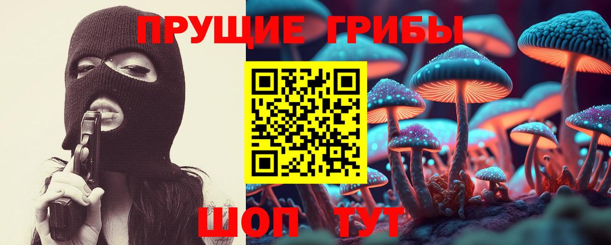 Псилоцибиновые грибы Psilocybine cubensis Донецк