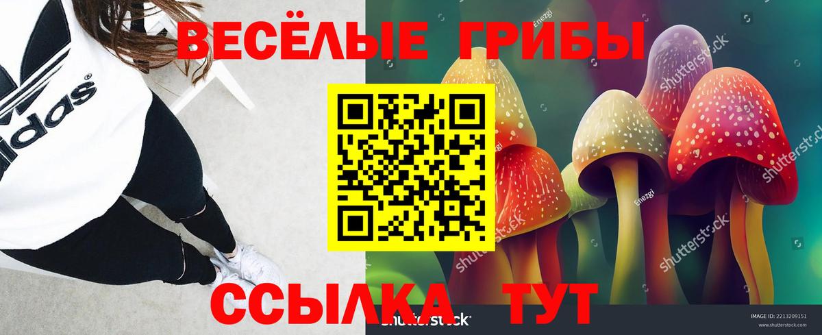 Галлюциногенные грибы Magic Shrooms  Псилоцибиновые грибы MAGIC MUSHROOMS  Донецк  Вход с VPN 